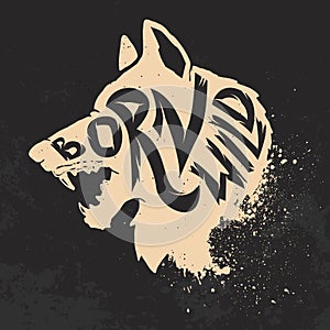 Born wild. Wolf head on grunge background.