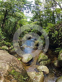 Borneo tropical rain forest stream fall