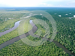 Borneo Tropical Rainforest