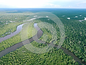 Borneo Tropical Rainforest photo