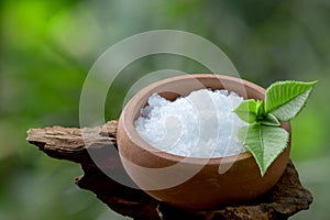 Borneolum Syntheticum, white crystal and ngai camphor tree, green leaves on nature background
