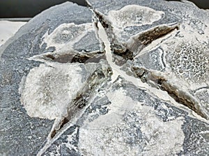 The Bornholm diamond is created quartz. Also called rock crystal SiO2
