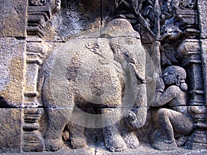 Borobudur Elephant Carving