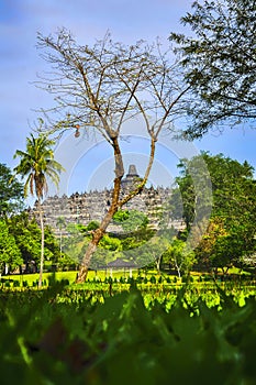 Borobudur Temple, Central Java, Indonesia