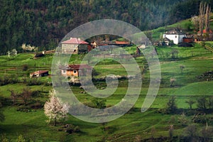 Borovitsa village, Eastern Rhodopes, Bulgaria