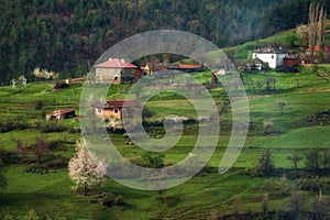 Borovitsa village, Eastern Rhodopes, Bulgaria photo