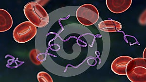 Borrelia bacteria in blood