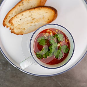 Borsch with croutons. Russian traditional cuisine.