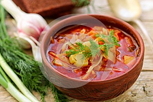 Borsch. Traditional Ukrainian vegetable soup made from beets,carrots, tomatoes, potatoes, cabbage