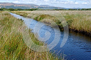 Borth Bog Nature Reserve in Wales, UK