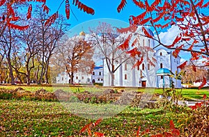 Borys and Hlib Cathedral behind the sumac branches, Chernihiv, Ukraine