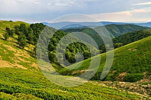 Borzhava ridge slopes in Carpathians