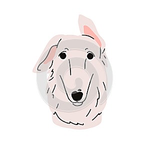 Borzoi, cute dog avatar. Russian hunting sighthound, canine head portrait. Funny purebred puppy muzzle. Doggy, pup face