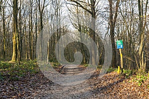 Bos in Vaals, Forest at Vaals