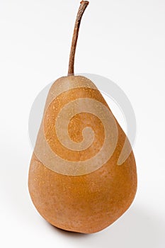 Bosc Pear