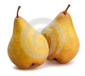 Bosc pears