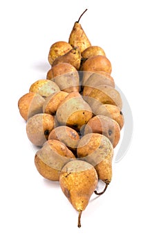 Bosc Pears varieties on a white background