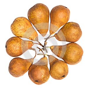 Bosc Pears varieties on a white