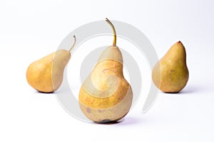 Bosc pears on white background