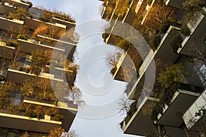 Bosco Verticale in Milan