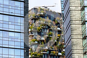 Bosco Verticale, Milan, Italy