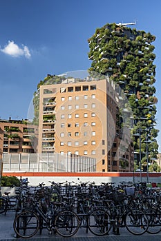 Bosco Verticale in Milan photo