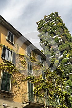 Bosco Verticale and old building in Milan photo