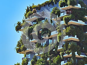 Bosco Verticale Vertical Forest. Designed by Stefano Boeri, sustainable architecture in Porta Nuova district, in Milan