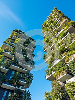 Bosco Verticale, Vertical Forest in Milan Italy photo