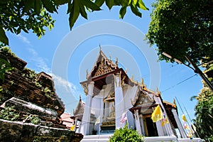 Bose at Na Phra Meru Temple, Ayutthaya, Thailand