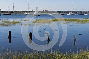 Bosham Harbour ,West Sussex, England