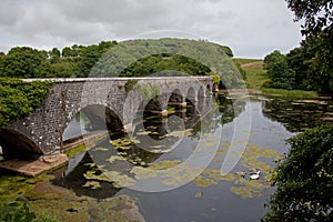 Bosherton Lily Ponds photo