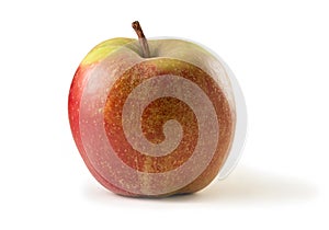 Boskop apple isolated