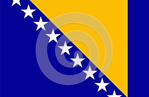 Bosnia and Herzegovina flag