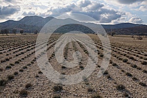 Un,. campagna. da paglia impianti 