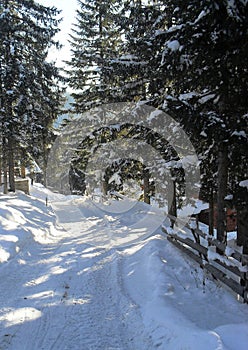 Bosnia and Herzegovina - Vlasic mountain