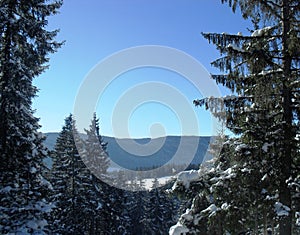 Bosnia and Herzegovina - Vlasic mountain postcard