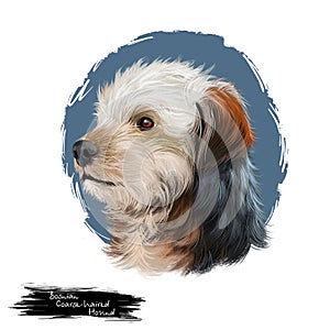 Bosnian Coarse-haired Hound, Barak dog digital art illustration isolated on white background. Bosnia and Herzegovina origin