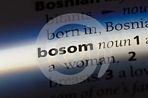 bosom