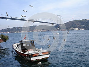 Bosphorus bridge photo