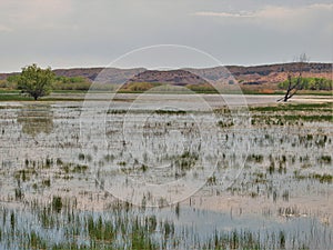 Bosque Del Apache National Wildlife Refuge