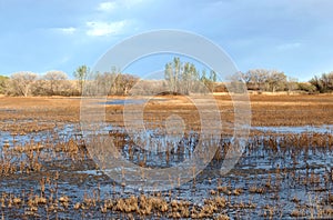 Bosque Del Apache National Wildlife Refuge