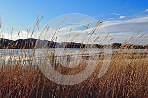 Bosque Del Apache National Wildlife Refuge