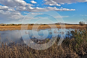 Bosque Del Apache National Wildlife Refuge