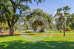 Bosques de Palermo park