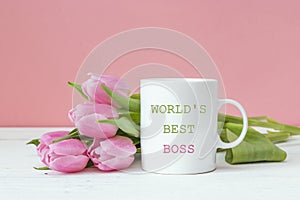 Boss day background with pink tulips. Congratulations for a fema