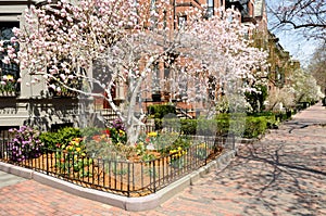 Boston Back Bay in early spring