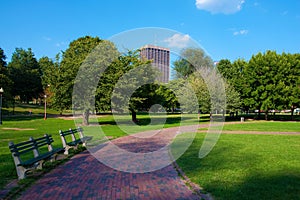 Boston Common photo