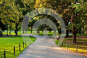 Boston Common photo