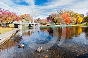 Boston Common in fall photo